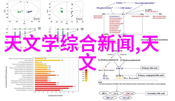 摄影艺术之美捕捉生活瞬间的杰作