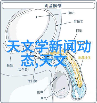 客厅装修颜色选择寻找那份好看又大气的完美搭配