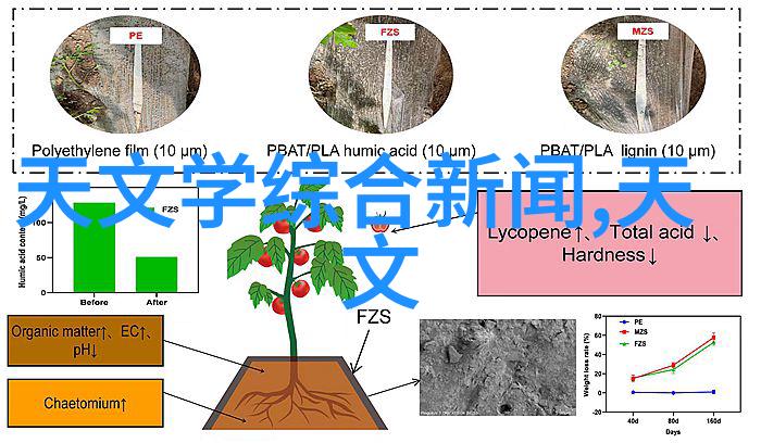 传统中国文化中的扬子龙探索冰箱设计灵感的古代智慧