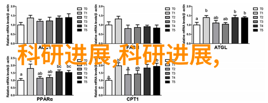 聚焦国光探索国内摄影论坛的艺术与技术