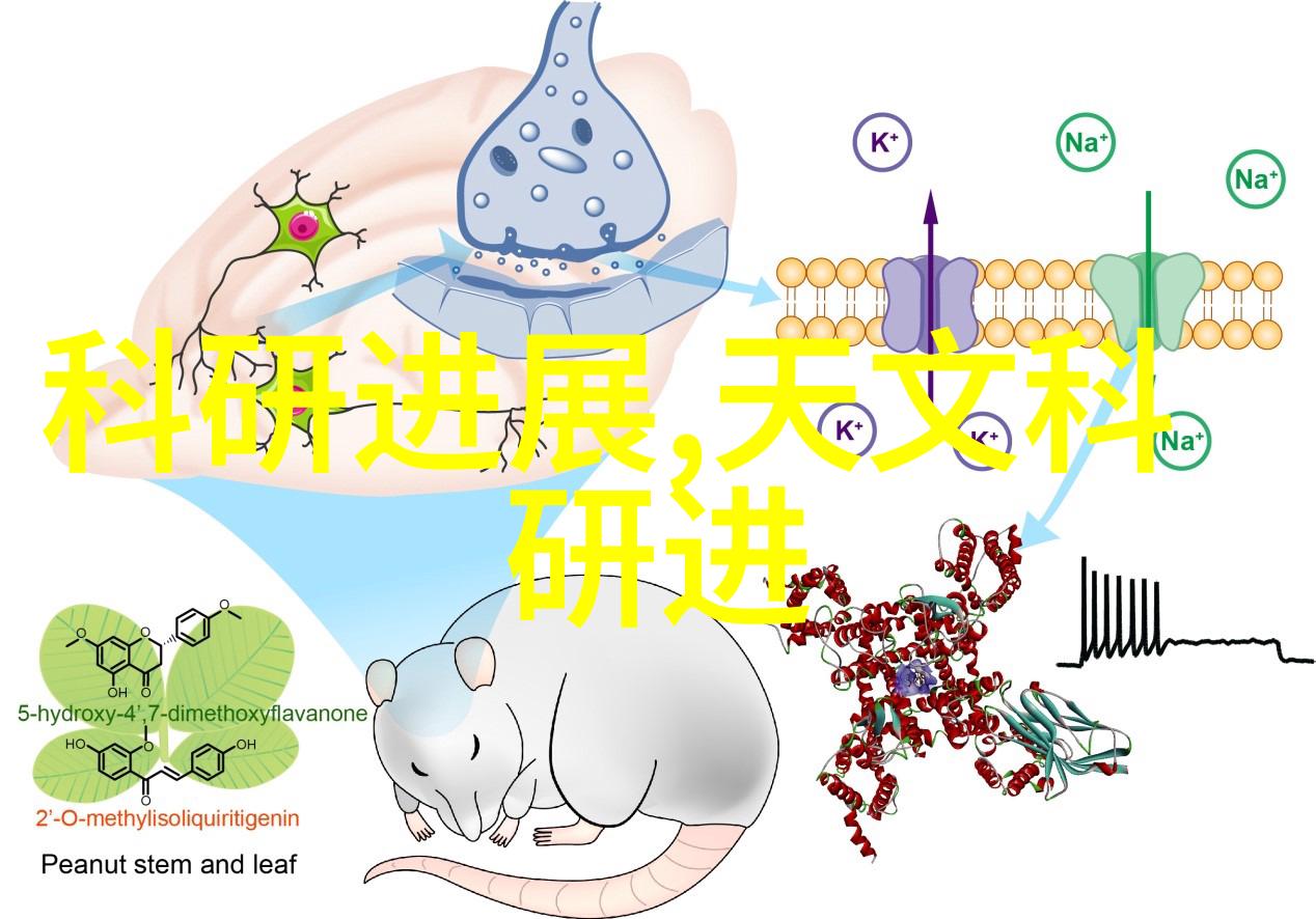 花语传情选择老师心仪的花朵送上祝福