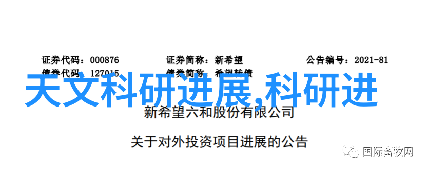 北京赛迪软件测评口碑 - 赛迪软件的卓越服务与产品用户心声