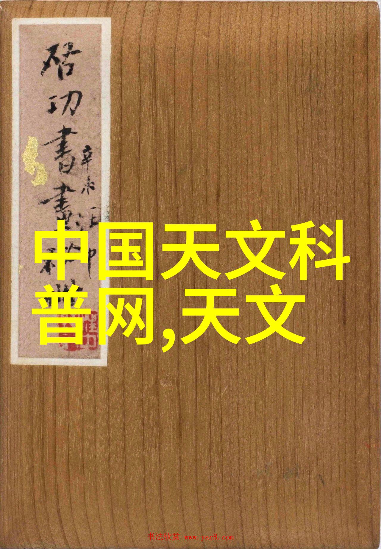 对于年轻摄艺人来说加入中国艺术摄影协会有何好处