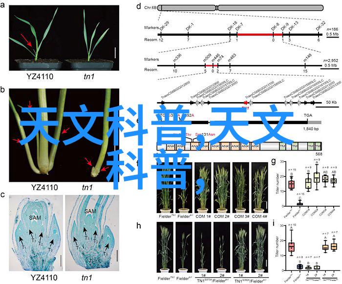 反应釜共线设备高效化学实验的关键技术