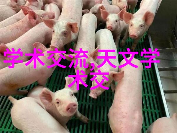 海尔双开门冰箱温控技巧全解析让你的食品保持最佳保存状态