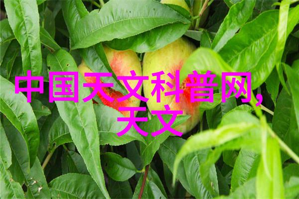 规整填料标准材料堆叠艺术的精髓探究