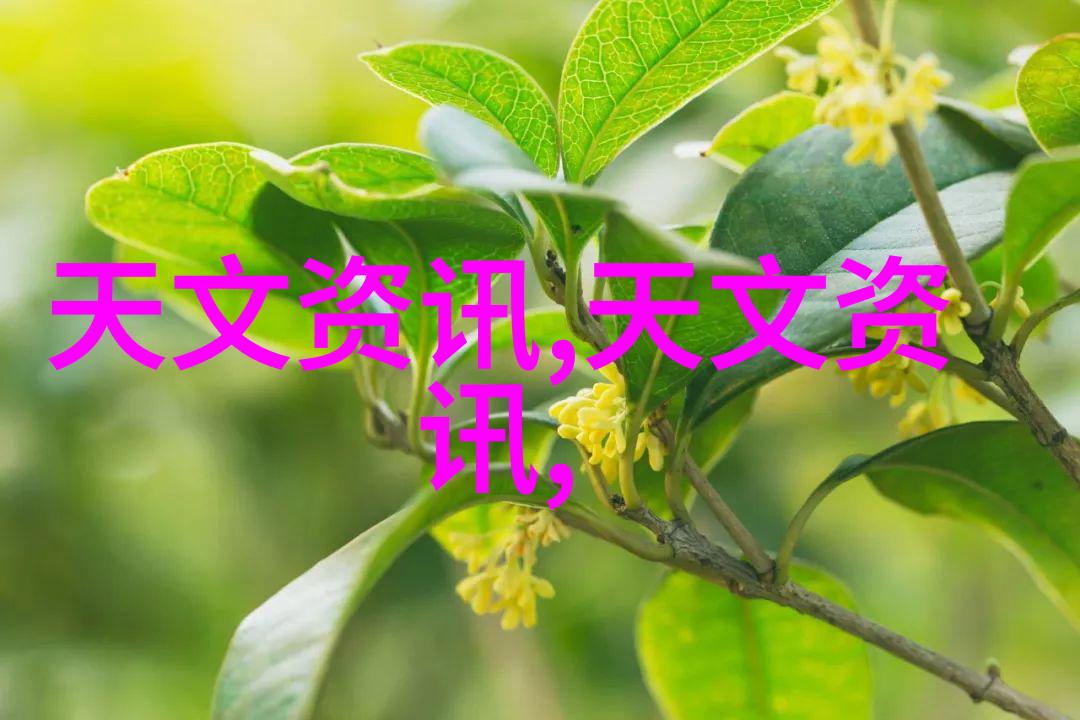 快速消毒灭菌器是否会产生有害化学物质或气体