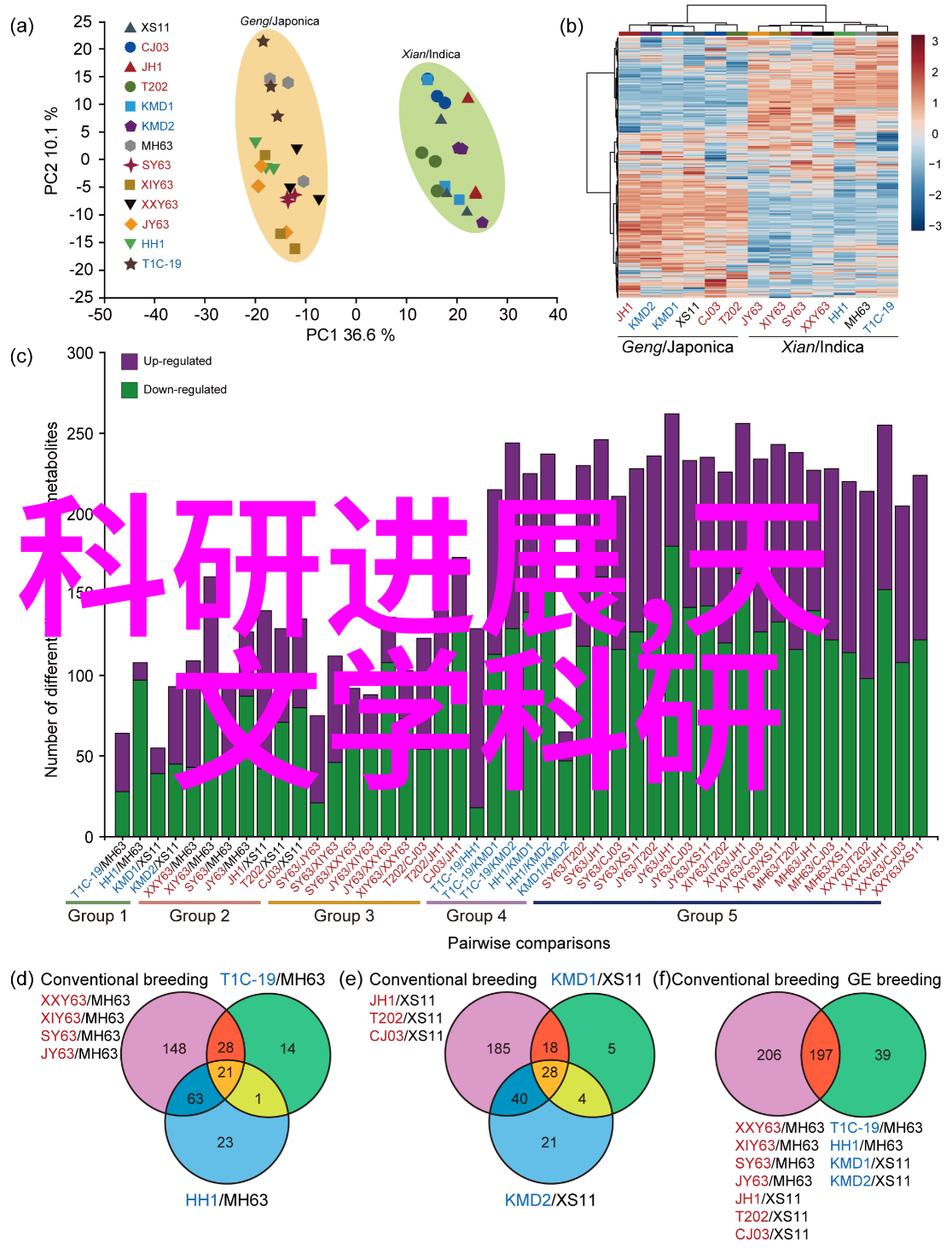 防护科技探索保护膜的创新与应用