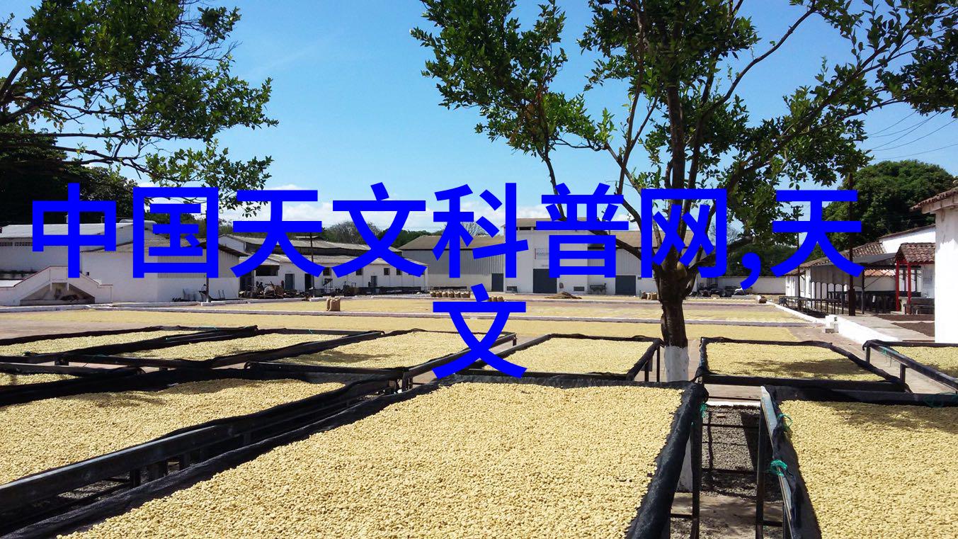 探索无限可能各种户型装修效果图片背后的创意之谜