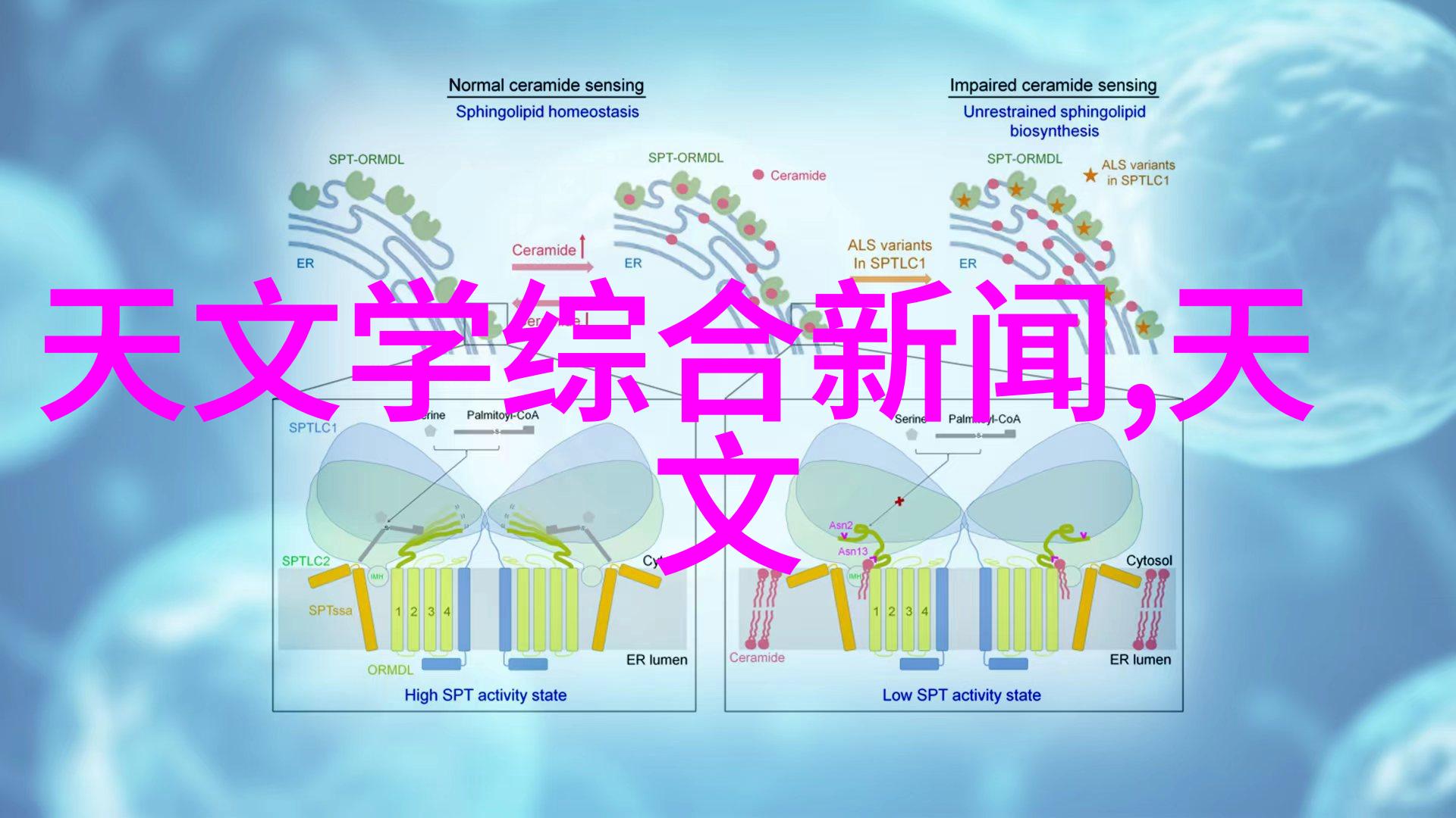 日产乱码卡2卡视频解析揭秘汽车配件的真伪问题