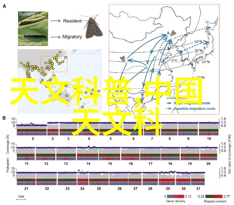 专利申请大冒险从发明到赚钱的奇幻之旅