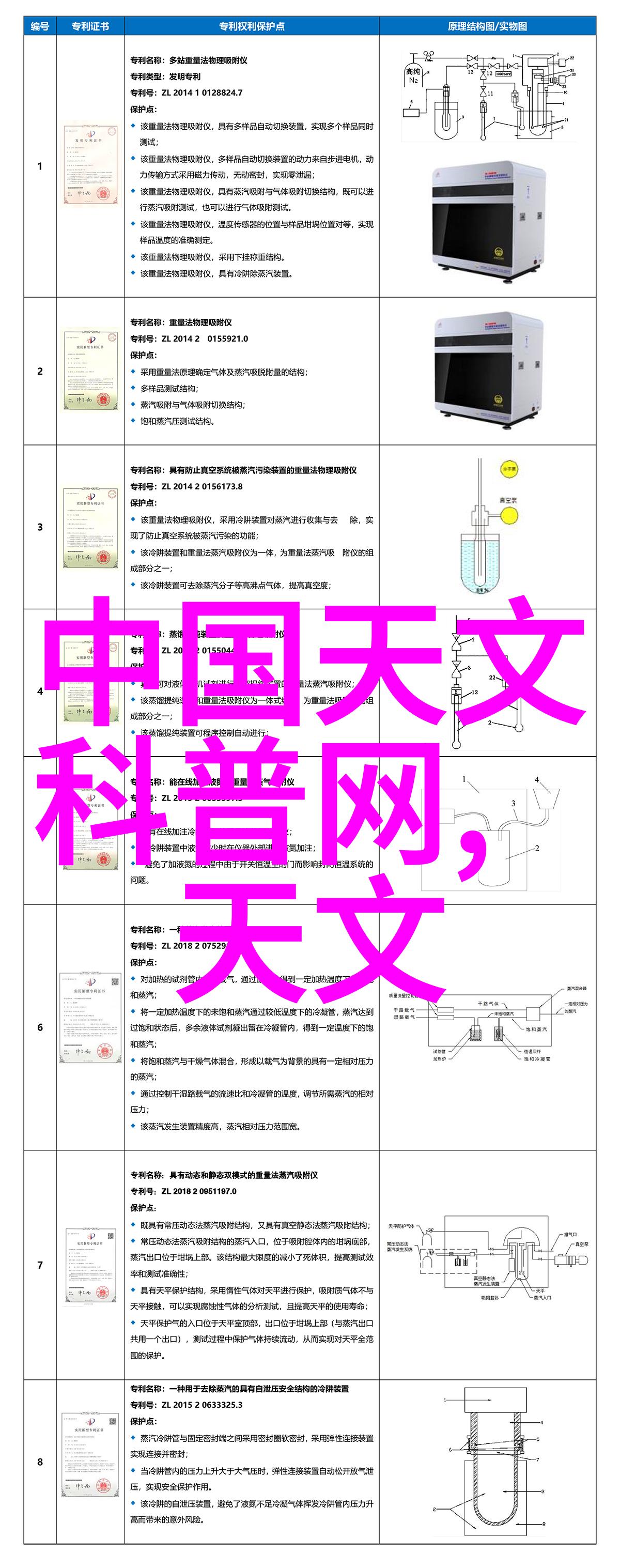 宠你入怀温馨的宠物拥抱