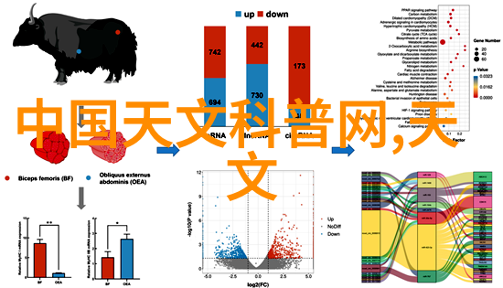 拍照不容易评分更难呢