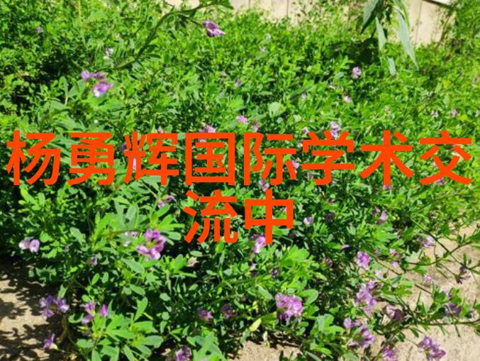 废机油回收环保节能的废旧机油利用方法