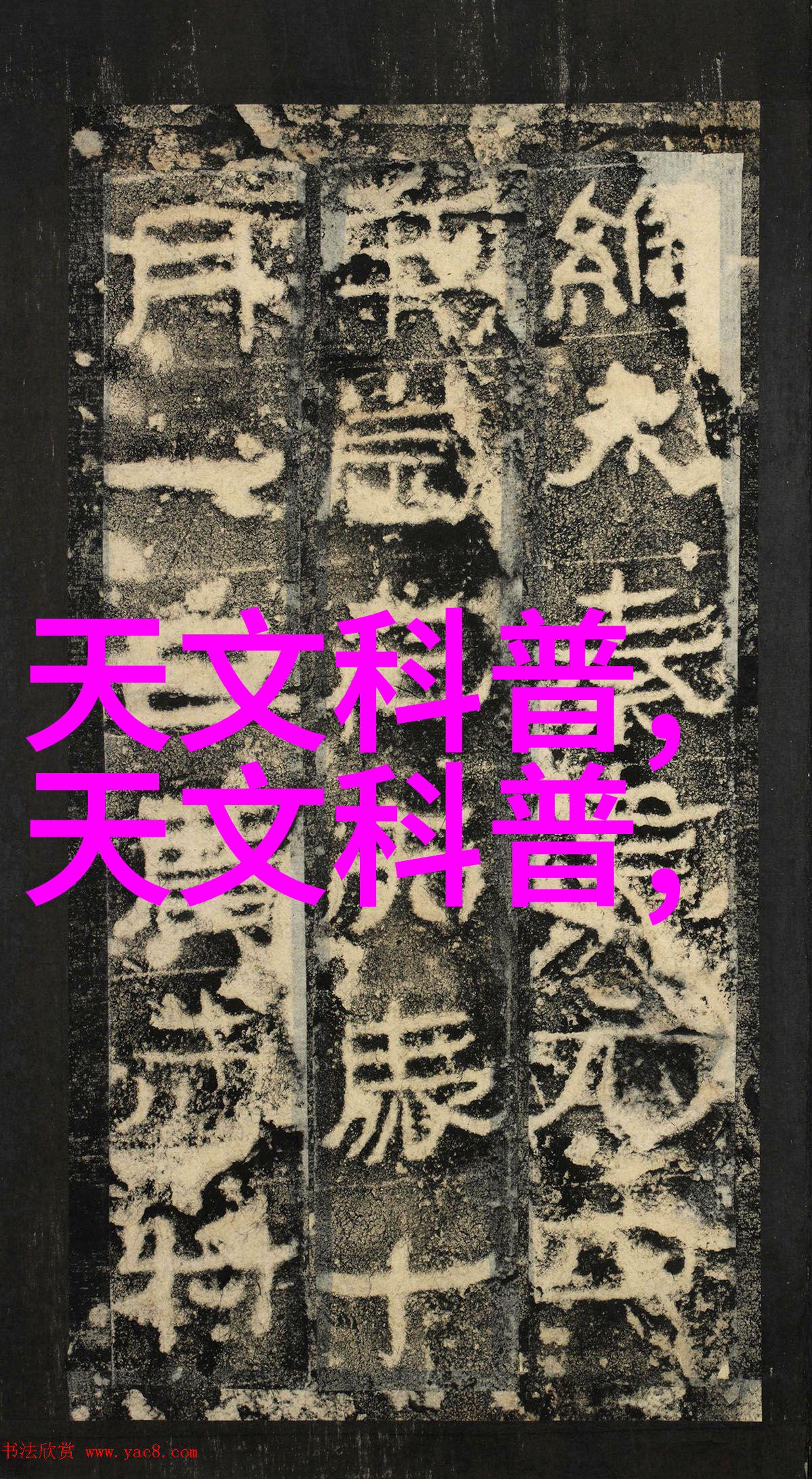 蒸汽换热器我的日常小伙伴