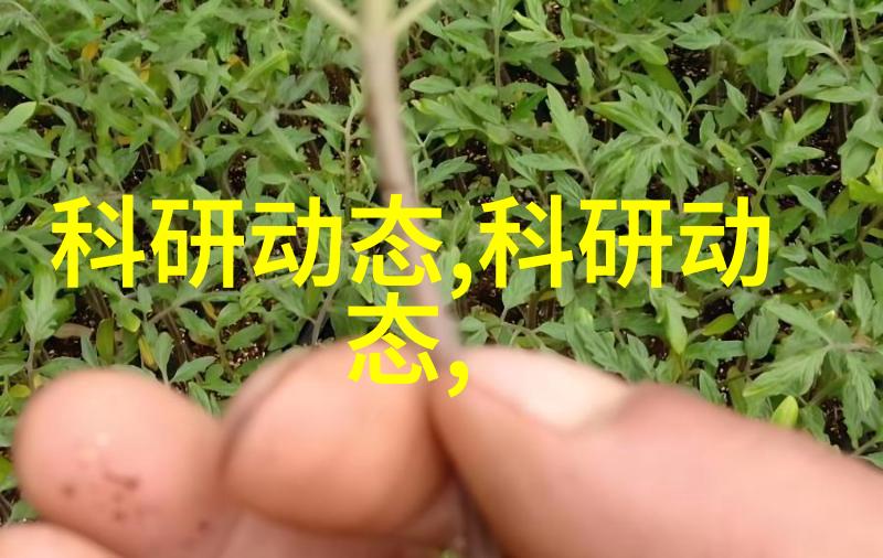 一吃就硬的25种偏方自然健康养生