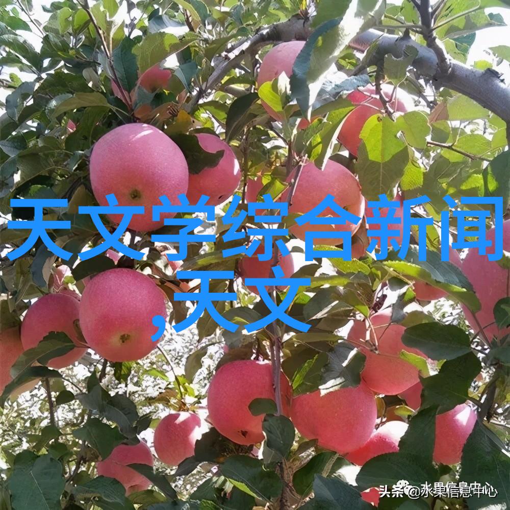 瞬间美景摄影师的眼镜