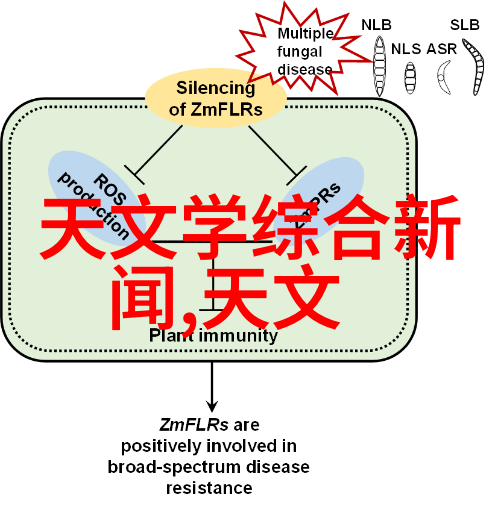 燃烧效率提升专家高效催化燃烧处理装置供应商