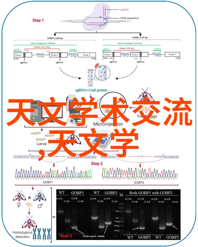 仪器仪表协会我是如何在仪器仪表协会的活动中遇到你的人生小插曲