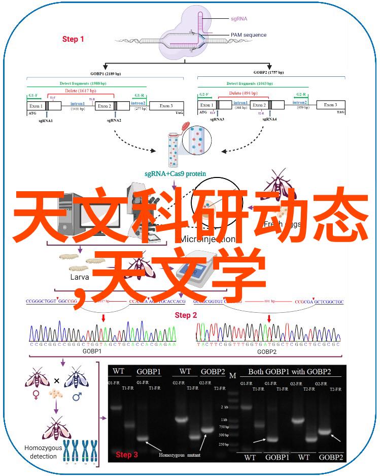 接电话故意做加快速度视频我的闹心日常