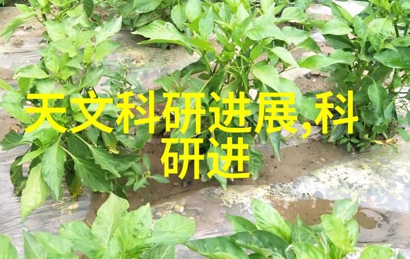 普通硅酸盐水泥建筑材料中的主要组成成分