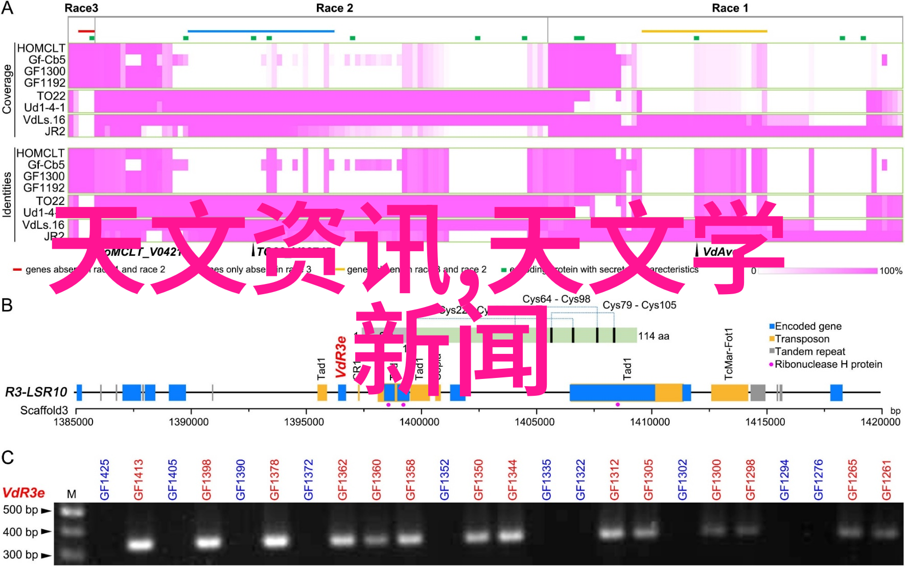 聚酯纤维高档衣物的秘密武器鲍尔环水处理填料DN16DN25DN38DN50