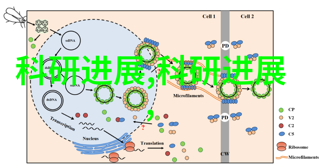 嵌入式工程-微控制器应用与系统设计