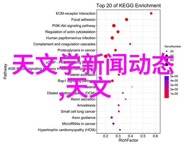 化学反应釜设计图高效实验室用途的创新反应设备