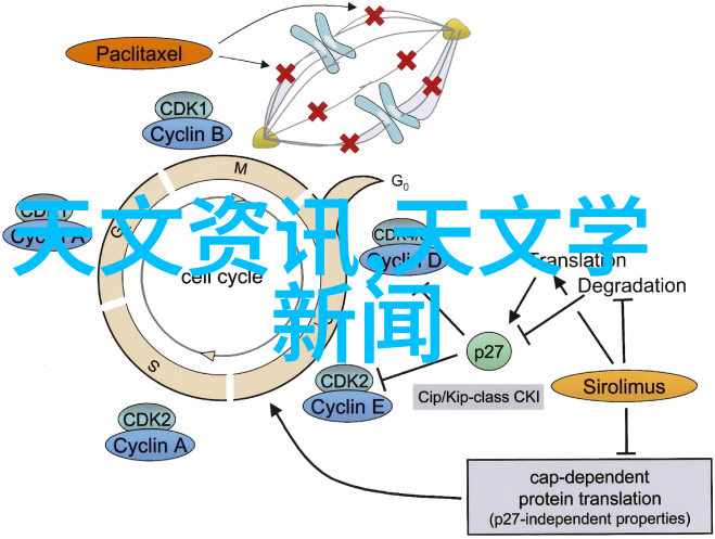 成都市政府支持政策对本地化工品和制冷设备产业影响研究