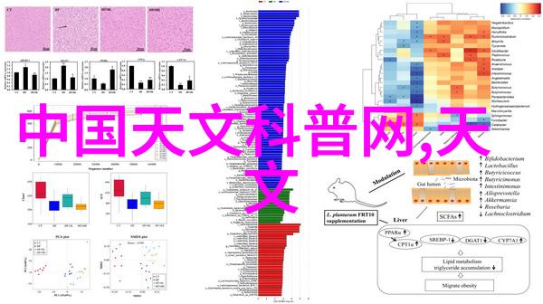 建筑工程实习报告施工现场经验与技术应用总结