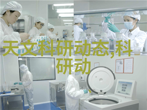 微波炉使用指南快速掌握烹饪技巧