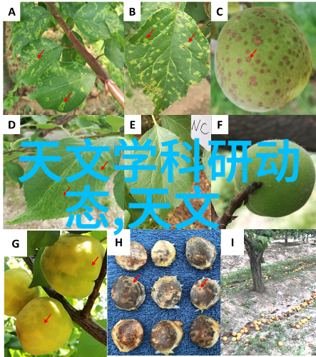 客厅设计图库追求个性化的家居美学