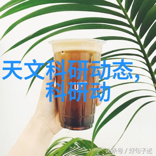 镜头的语言解锁摄影之谜