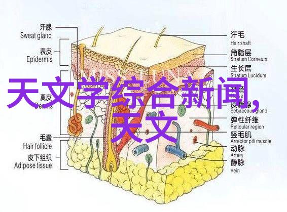 人造石的未来它能取代自然石吗