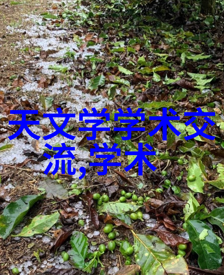 在炎热中寻找凉爽以不一样的心去感受这个特殊的八四一四