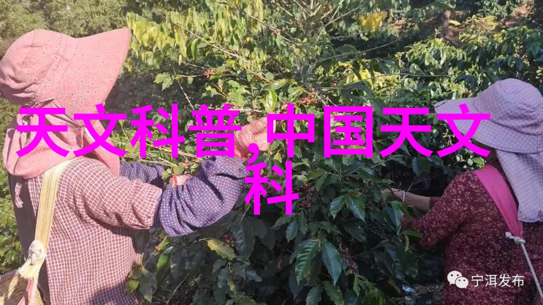 填料塔的独特魅力高效节能多样化设计易于维护