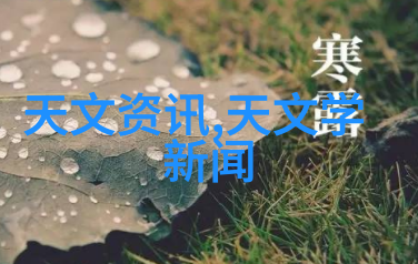 现代极简风装修效果图 - 清新的空间探索现代极简风格的装修艺术