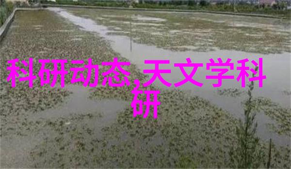 水质分析新工具探索tds检测仪的应用与优势