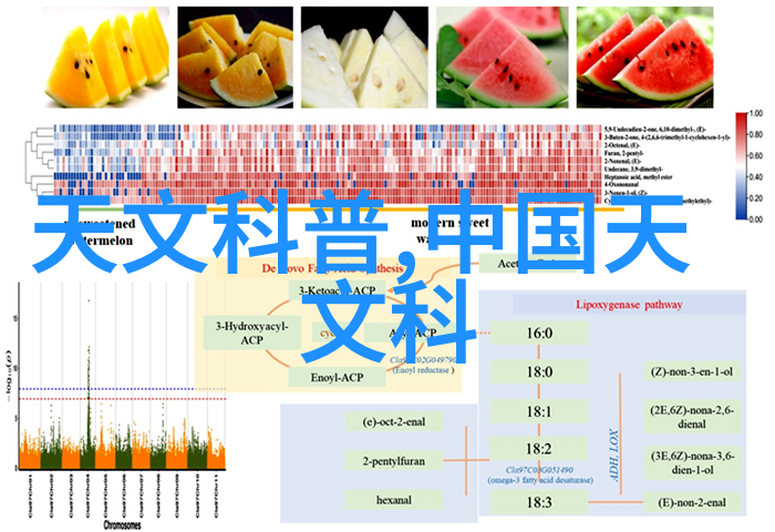 水质检测-精确测量tds水质检测仪的应用与优势