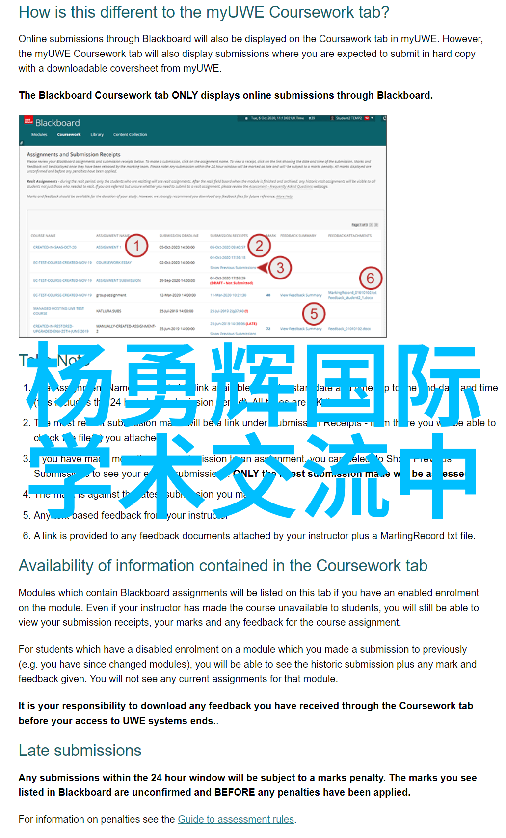 化工废水处理设备-高效去除有机污染物的先进技术与应用