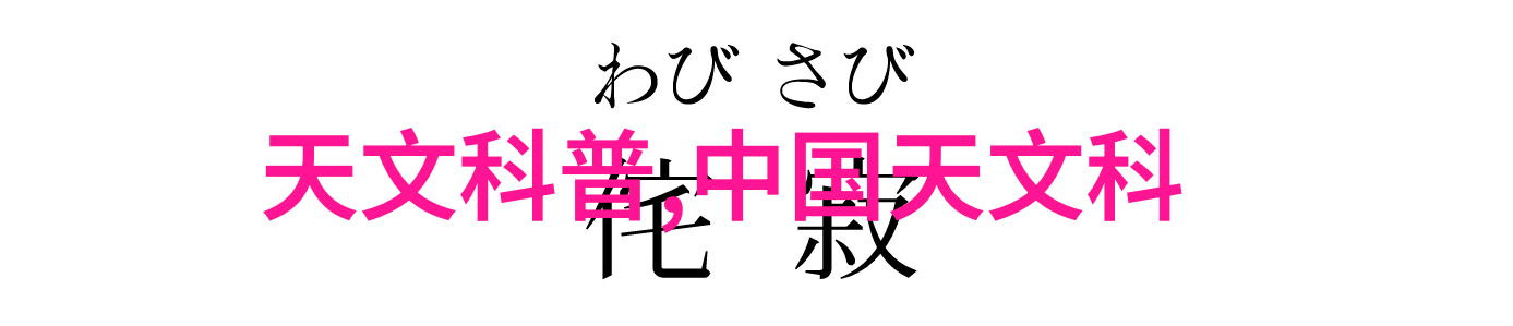 在2019年智慧停车展于深圳盛大亮相时是否已经为城市的停车难问题找到了一种解决之道智能交通监控技术的