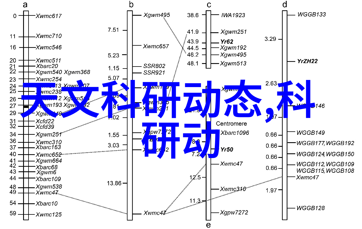 探索量化世界测量的奥秘与应用