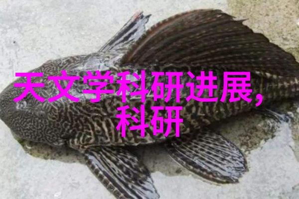 泡沫板的秘密揭开轻盈玩具背后的科技