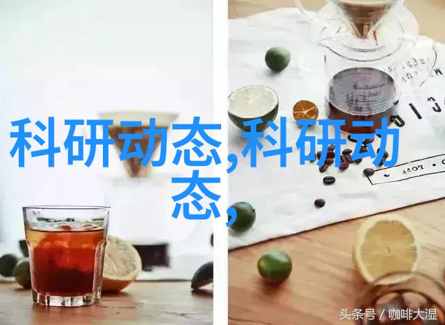 在不同的文化中白色玫瑰代表着哪些特定的含义