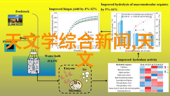 家居装修细节优化家居美学与实用性平衡