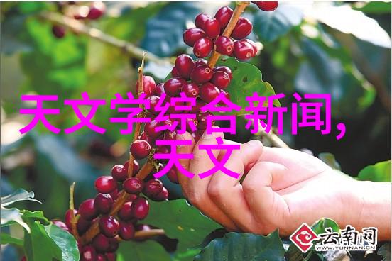 情人节送什么花选择浪漫的花卉作为情人节礼物