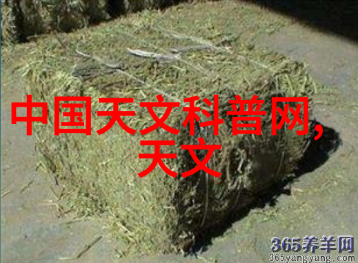 限时抢购京东秒杀无线可穿戴设备360 10X智能儿童手表原价499元现仅需429元手慢无