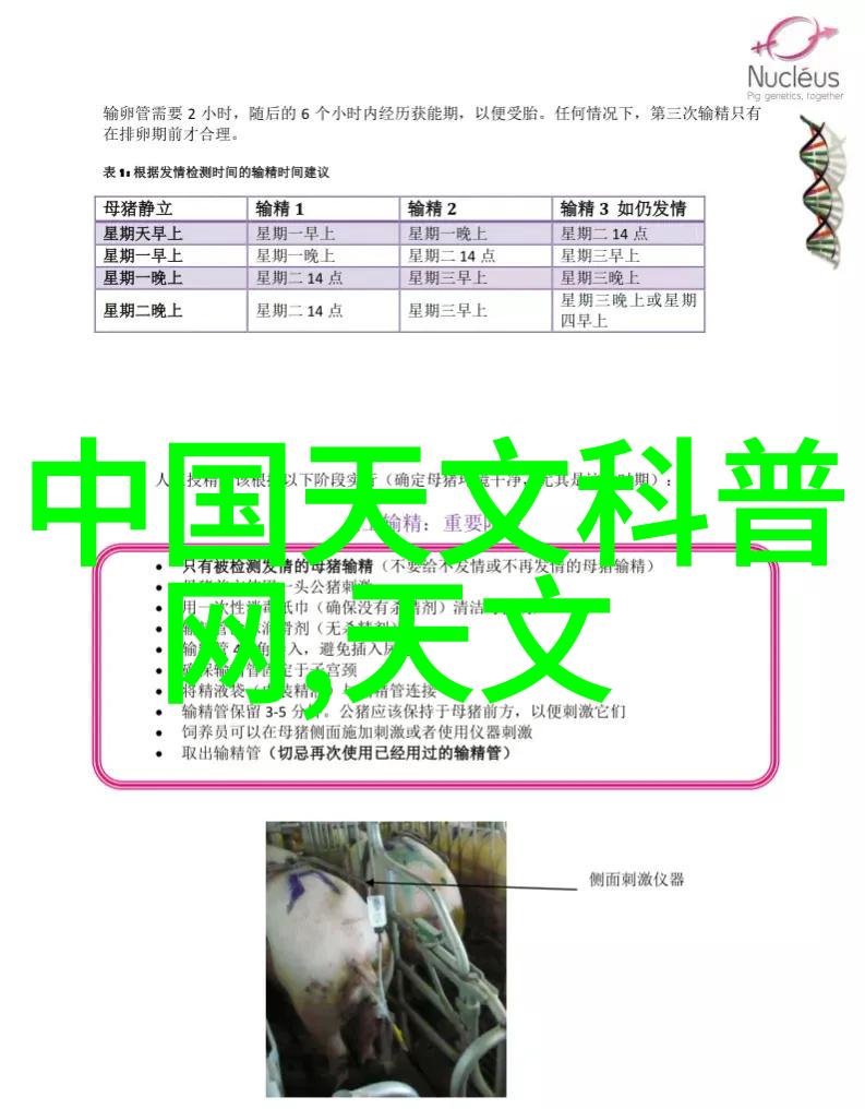 冷风机厂家推荐高效不锈钢双管板换热器优质板管式换热解决方案