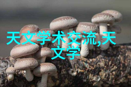 在不同气候条件下如何调整场地平顺的标准和方法