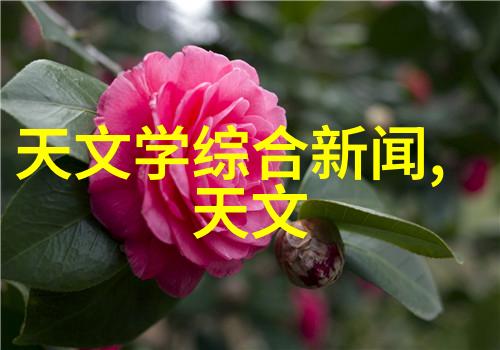 主题-滑梯之痛越玩越疼的无声呐喊